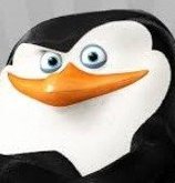 Skipper