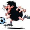 Zdj�cie