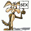 - zdj�cie