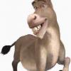 Donkey